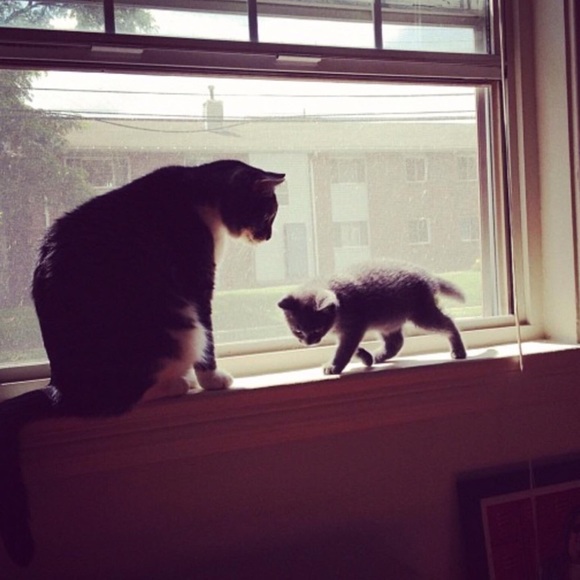 MEET YOUR POSH AMBASSADOR! 🖤 - Picture 4 of 4